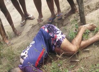 Mataram o galego, com 5 tiros