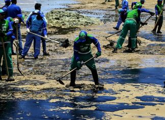 15 toneladas de óleo são retiradas na Praia da Pituba e no Jardim dos Namorados