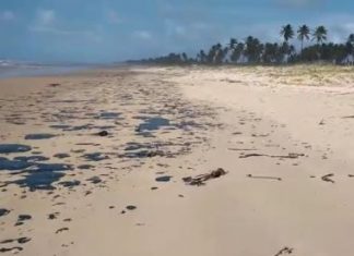 Ibama afirma que 10 toneladas já foram retiradas de áreas com manchas de óleo na Bahia
