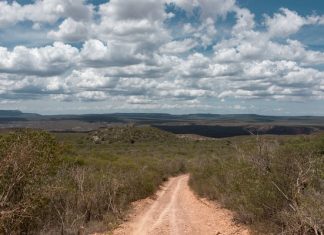 PF cumpre mandados em operação contra extração ilegal de recursos minerais no Parque Nacional Boqueirão da Onça