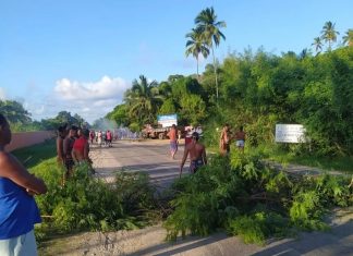 Indígenas Tupinambás protestam na BA-001 e pedem retorno de transporte público à comunidade