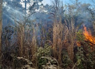 Incêndio atinge área de vegetação e chamas se aproximam de imóveis na Serra da Bandeira, no oeste da Bahia