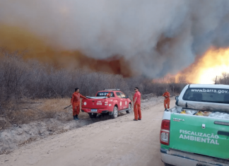 Área de vegetação do município de Barra, no oeste baiano, é atingido por incêndio
