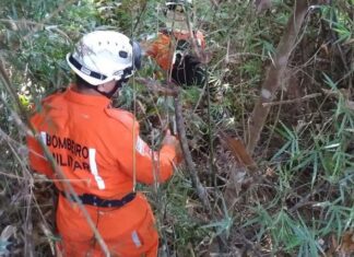 Após seis dias de busca em mata, mulher é resgatada com vida em Porto Seguro