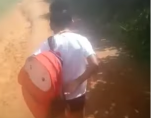 Itamaraju: Após corte no transporte escolar, criança com deficiência física precisa caminhar 6 km para ir à escola; assista