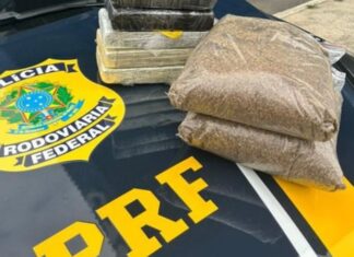 Mulheres que transportavam K9 e cocaína são presas em abordagem da PRF na Bahia