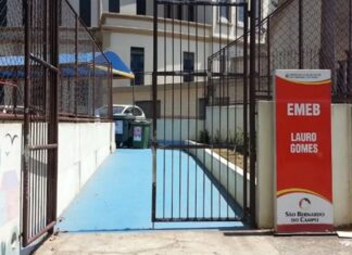 Menina morre atingida por tronco anos após crianças alertarem sobre perigo de árvore