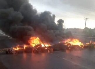 Ex-funcionários de terceirizadas da Ford protestam na Via Parafuso