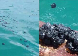 VÍDEO: Populares encontram manchas de óleo em praia de Valença