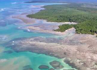 Governo da Bahia intensifica força-tarefa para identificar origem de óleo nas praias