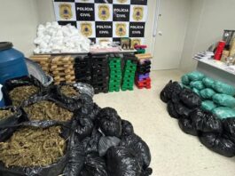 Laboratório de drogas é encontrado dentro de hotel em Salvador; drogas e cobras são apreendidas