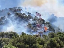 Incêndio florestal no sul da França fecha aeroporto e chega nos arredores de Marselha; prefeitura pede para pessoas ficarem em casa