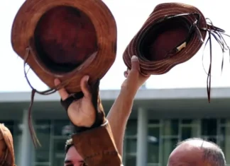 Dia Nacional do Nordestino: entenda o que diz a lei sobre a data