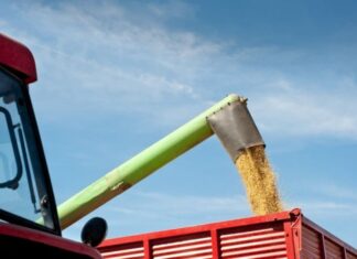 Bahia tem sete cidades entre as 50 maiores produtoras agrícolas do Brasil e se consolida como líder no Nordeste