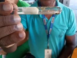 Casos de dengue na Bahia registram queda de mais de 85% em 2025