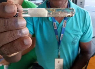 Casos de dengue na Bahia registram queda de mais de 85% em 2025