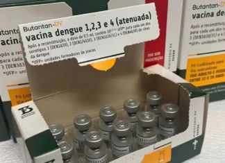 Distribuição de vacina 100% brasileira contra a dengue é iniciada para todos os 417 municípios baianos