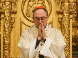 Papa Leão XIV nomeia Dom Sérgio da Rocha, arcebispo de Salvador, para órgão que escolhe bispos no mundo