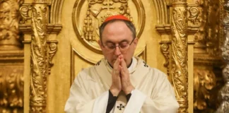 Papa Leão XIV nomeia Dom Sérgio da Rocha, arcebispo de Salvador, para órgão que escolhe bispos no mundo