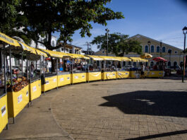 Feira de Economia Solidária Fortalece Cultura e Empreendedorismo no Além do Carmo