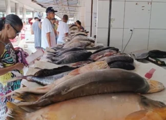 Confira dicas da Vigilância Sanitária sobre compra de pescados na Semana Santa