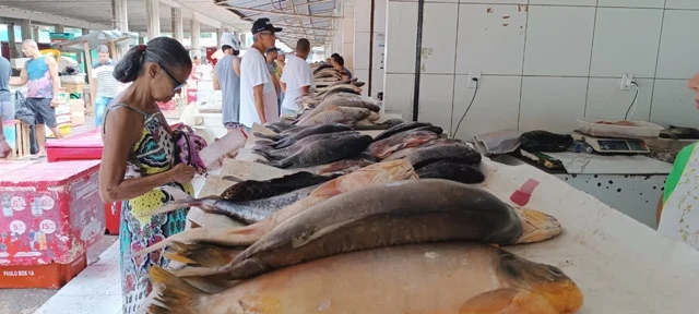 galpao-de-peixes-Foto-Paulo-jose-Acorda-Cidade.jpg2_