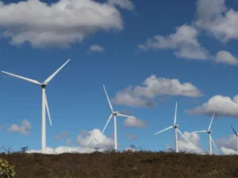 Bahia consolida liderança nacional em energias renováveis