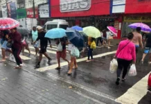 Quando o inverno chega devagar: o que muda com a nova estação que começa neste fim de semana?