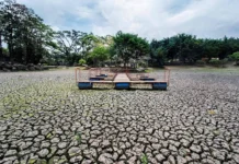 ONU alerta para 80% de chance de El Niño entre junho e agosto