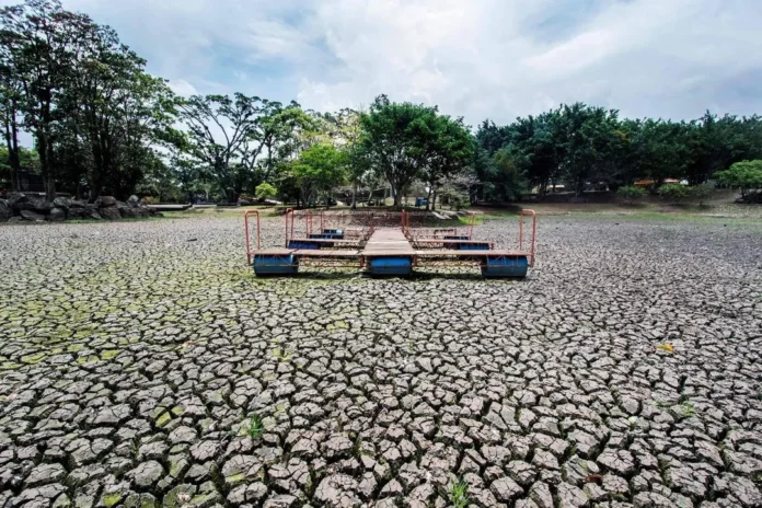 onu-alerta-para-80-de-chance-de-el-nino-entre-junh0139076600202606020952-ScaleDownProportional