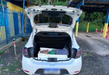 PRF apreende drogas durante fiscalização na BR-101, em Gandu (BA)