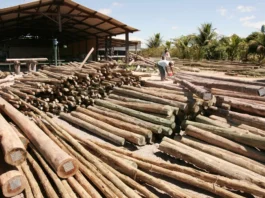 Impacto bilionário: novo tarifaço pode atingir açúcar, etanol e madeira