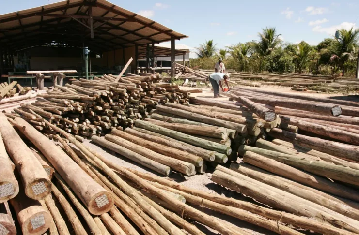 Impacto bilionário: novo tarifaço pode atingir açúcar, etanol e madeira