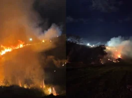 Fogos de chá revelação causam incêndio em serra turística da Bahia