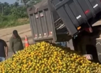 ‘Laranja na beira da estrada’: produtores baianos se unem a sergipanos para enfrentar crise
