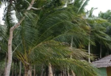Feira de Santana fica fora de alerta de vendaval emitido pelo Inmet para mais de 80 cidades da Bahia