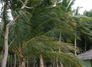 Feira de Santana fica fora de alerta de vendaval emitido pelo Inmet para mais de 80 cidades da Bahia