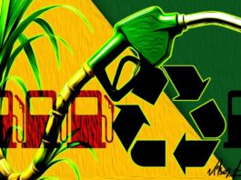 Enquanto o mundo disputa petróleo, o Brasil pode liderar a era dos combustíveis renováveis