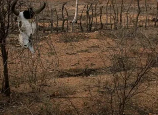Defesa Civil reconhece situação de emergência em cidades da Bahia, Alagoas e Paraíba
