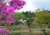 Primavera tem início com calor intenso e alerta para seca em Feira de Santana