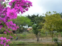 Primavera tem início com calor intenso e alerta para seca em Feira de Santana