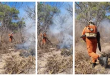 Sem trégua do fogo, 180 bombeiros combatem incêndios florestais na Bahia