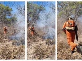 Sem trégua do fogo, 180 bombeiros combatem incêndios florestais na Bahia