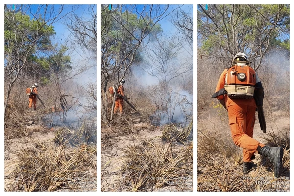 bombeiros-mantem-178-militares-no-combate-a-incendios-florestais-na-bahia-3415640-article