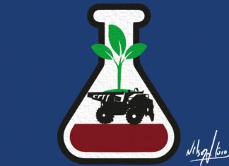 A mineração pode se aproximar do fim. O território, não