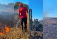 Incêndio de grandes dimensões ocorre perto de usina solar