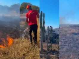 Incêndio de grandes dimensões ocorre perto de usina solar