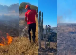 Incêndio de grandes dimensões ocorre perto de usina solar