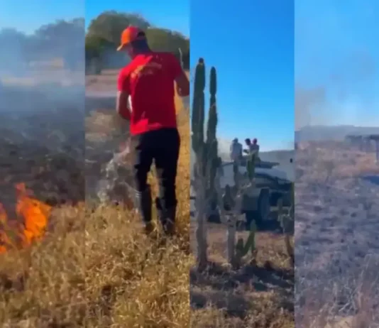 Incêndio de grandes dimensões ocorre perto de usina solar