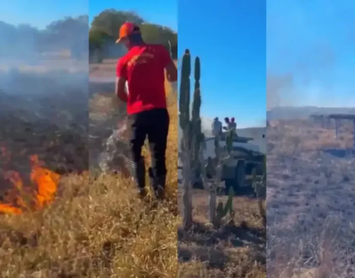 incendio-em-Riachao-1000x783-1